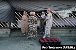 Торговки малиной на базаре Панчшанбе. Худжанд, Таджикистан. 15 июня 2024 года.