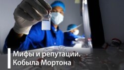 Продажная девка империализма. Трагедия российской генетики. Часть 3-я. Кобыла Мортона.