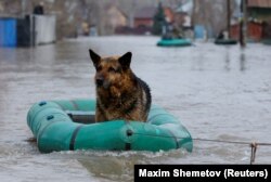 Паводка ў Арэнбургу