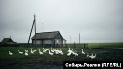 Сейчас в Омь приезжают в отпуска военные, некоторые из них – с ранениями.