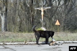 В "городе-призраке" Припять возле Чернобыльской АЭС. 8 апреля 2016 года