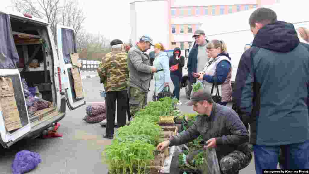 На гарадзской плошчы ў Чавусах праходзіў сельскагаспадарчы кірмаш. &laquo;У гэты сьвяточны выходны дзень у людзей зьявілася магчымасьць закупіцца некаторымі важнымі таварамі&raquo;.