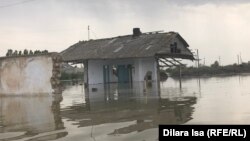 Сардоба тошқини оқибатида Қозоғистонда ҳам ўнлаб уйлар вайрон бўлди. 