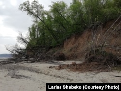 Берег Куйбышевского водохранилища. Весна 2019 года