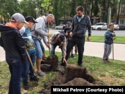 Тренер Михаил Петров вместе с лидером псковского "Яблока" Львом Шлосбергом сажают деревья на Октябрьском проспекте в Пскове