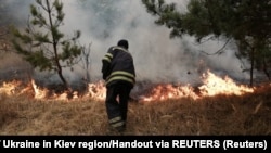 Пажары ў красавіку ў Чарнобыльскай зоне. Архіўнае фота