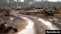 Белавеская пушча, архіўнае фота