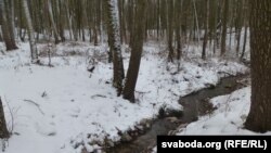 Belarus - the hunting in Belarus forests, the house of forest keeper, 8Feb2015