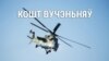 Колькі могуць каштаваць вучэньні «Захад-2017»