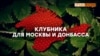 Крымская клубника только для Москвы? (видео)