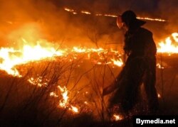 Пажарныя тушаць падпаленую траву, архіўнае фота