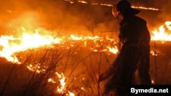 Пажарны тушыць падпаленую траву, архіўнае фота