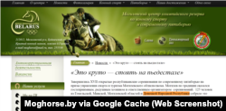 Cайт Магілёўскага цэнтру алімпійскага рэзэрву ў конным спорце і сучасным пяціборстве, архіўная культура