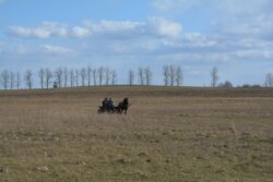 Праз шырокі прастор уладаньняў Міхала Кавальчыка