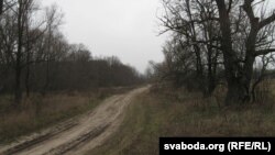 Стары шлях з Івашкавічаў у Капаткевічы — шлях у школу будучай ляўрэаткі Нобеля