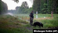 Літоўскі памежнік патрулюе мяжу, архіўнае фота