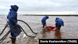 Операция по очистке воды под Норильском