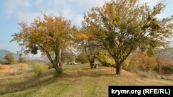 На западной стороне Варнутской долины: пейзажи у села Резервное (фотогалерея)