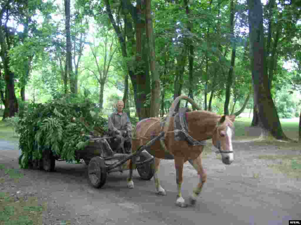 Фёдаравіч ў Лошыцкай гаспадарцы – незамянімы працаўнік