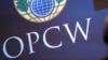 OPCW: Эймсбериде де "Новичок" уы қолданылған